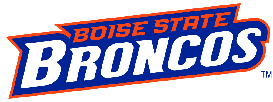 Boise State Broncos 2002-2012 Wordmark Logo v8 t shirts iron on transfers